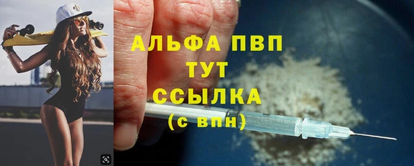 ГАЛЛЮЦИНОГЕННЫЕ ГРИБЫ Верея