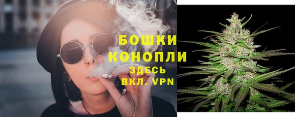 ГАЛЛЮЦИНОГЕННЫЕ ГРИБЫ Верея