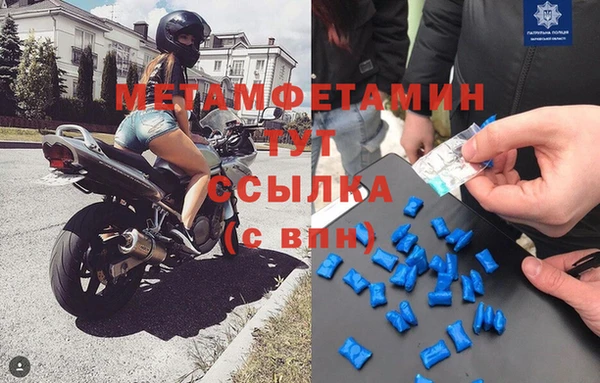 ГАЛЛЮЦИНОГЕННЫЕ ГРИБЫ Верея
